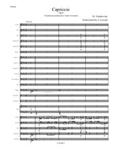 Tchaikovsky - Capriccio. Orchestrated by Leytush