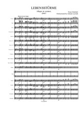F. Schubert  - Lebenssturme. Orchestrated by A. Leytush